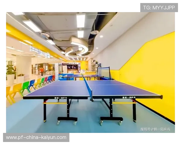 乒乓球协会推动青少年训练的专业化课程体系建设，乒乓球协会未来发展规划